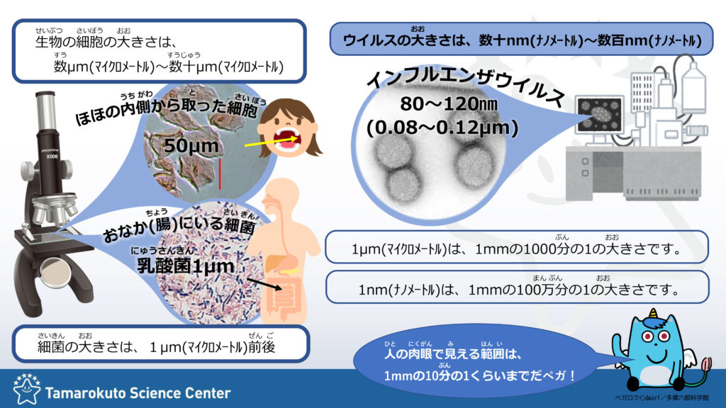 からだラボ特別展示その1 ウイルスってなにもの からだラボ特別展示その1 ウイルスってなにもの
