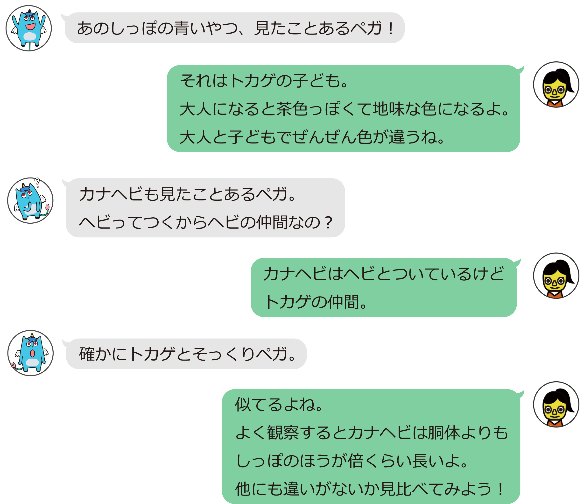 展示物解説 両生 は虫類のレプリカ 哺乳類の剥製 自然の部屋
