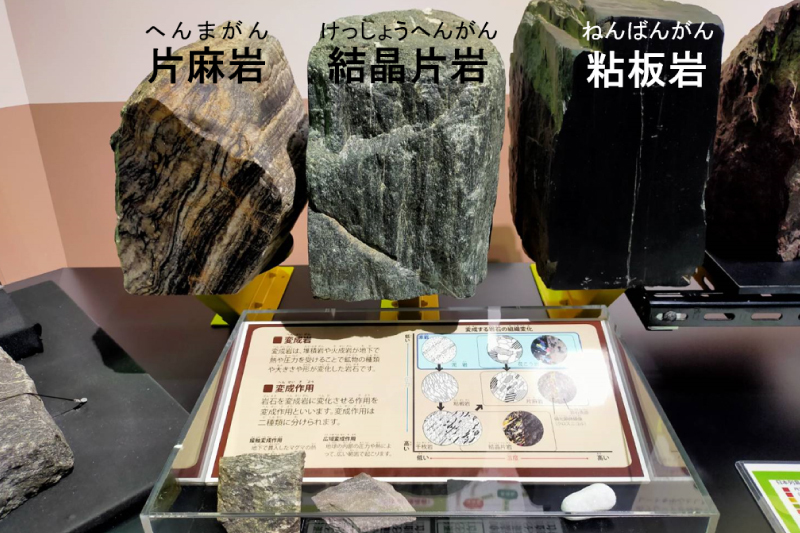 動画 おうちでロクトを楽しもう