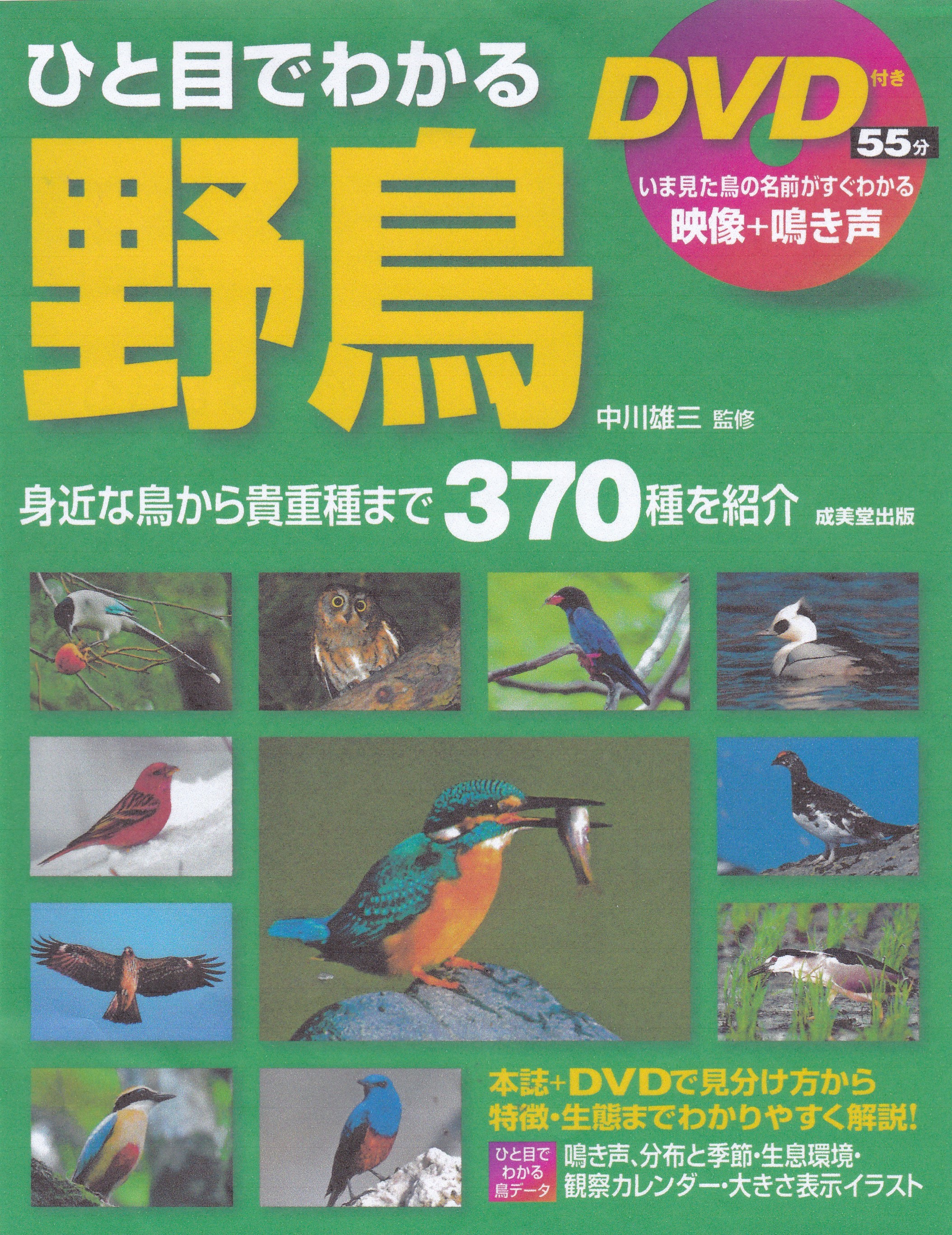 ひと目でわかる野鳥 ひと目でわかる野鳥