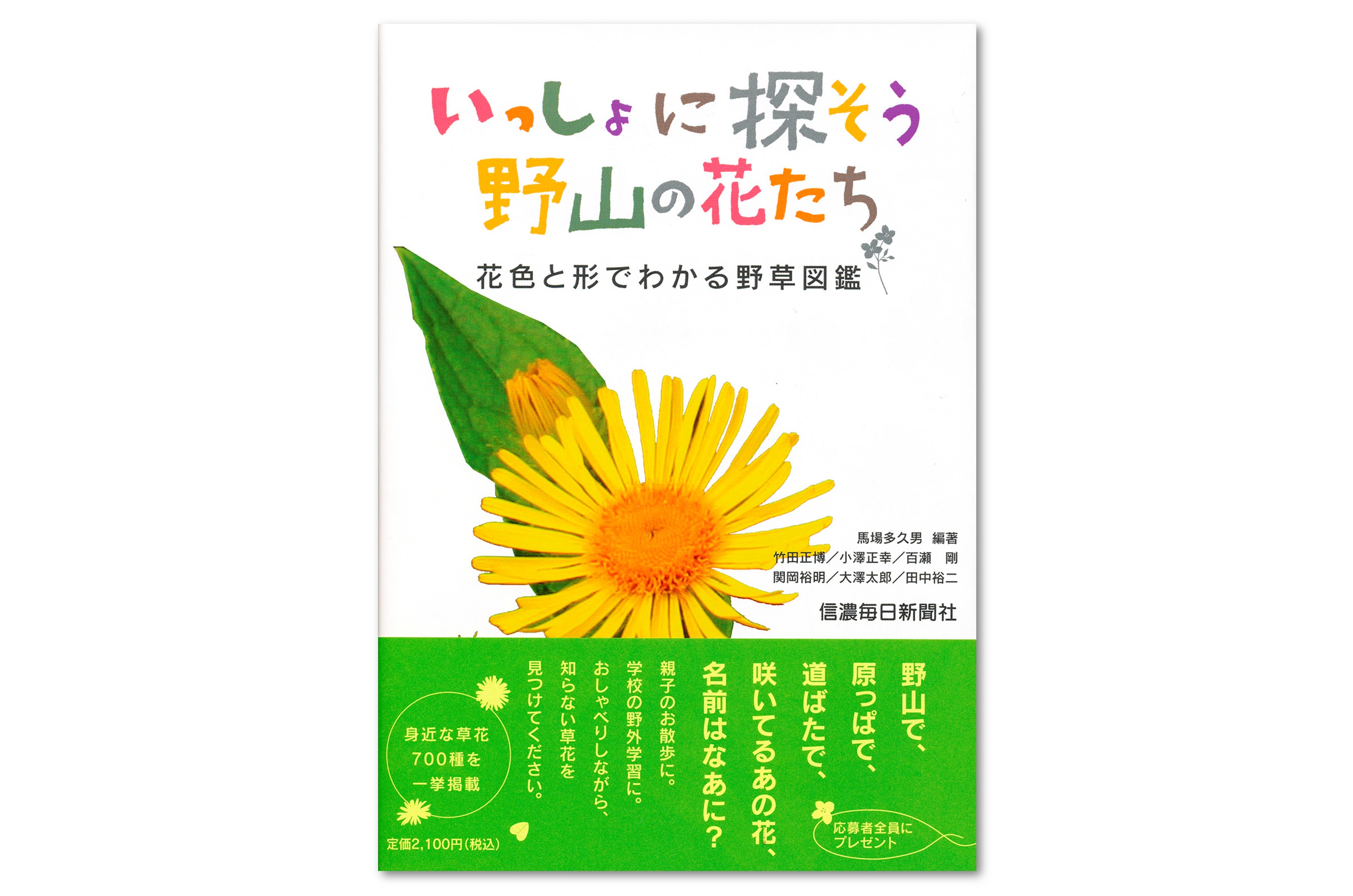 いっしょに探そう野山の花たち 花色と形でわかる野草図鑑