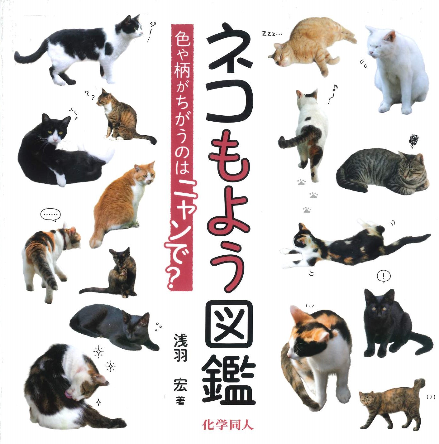 猫 ネコもよう図鑑