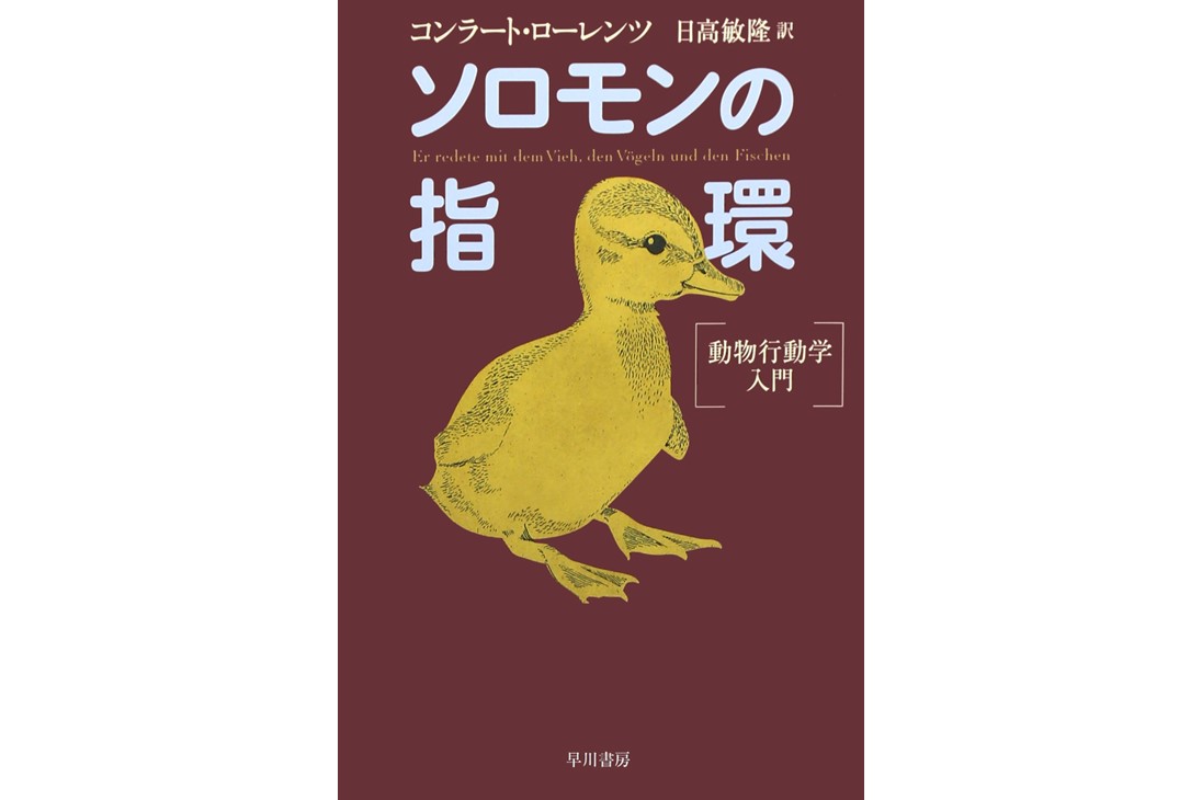 ソロモンの指輪