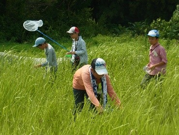 虫とり