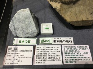 ロクトリポート用新潟県の岩石