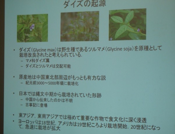 農と食の体験塾 大豆編 第４回レポート