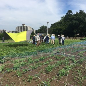 圃場