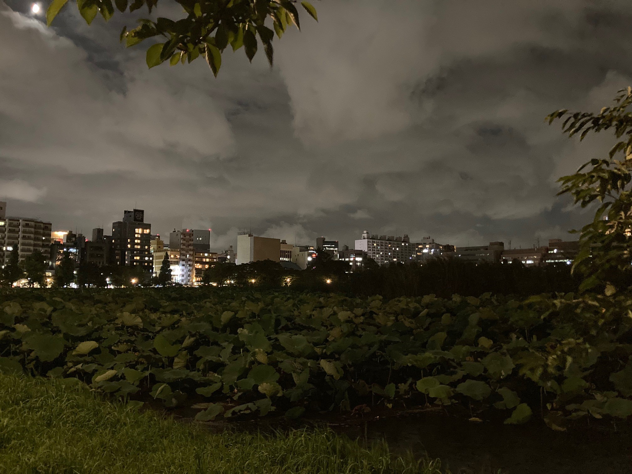 上野公園夜景2022