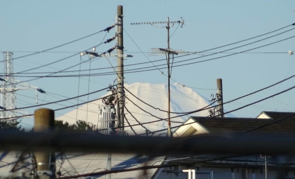 fuji AM