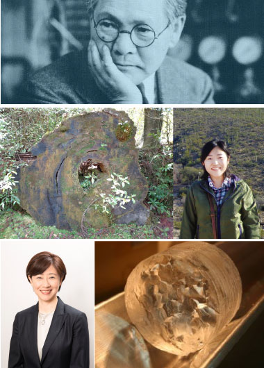 2018年度 仁科記念講演会 「アイソトープで探る宇宙」