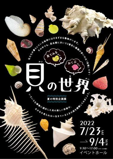 見てみるカイ?おくぶカイ 貝の世界