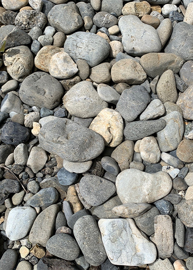 多摩川の川原で小石の観察会