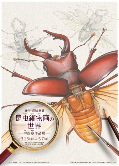 昆虫細密画の世界~中西章作品展~
