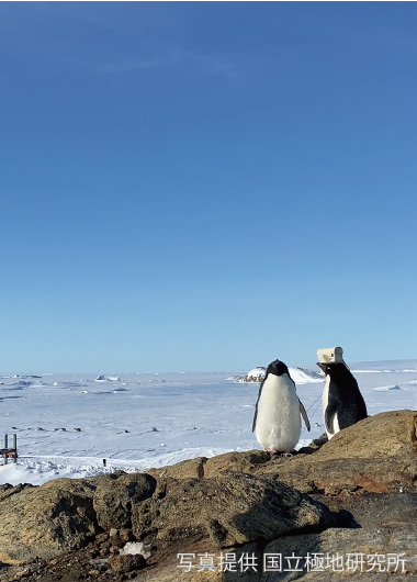 南極・昭和基地ツアー！ ～国立極地研究所南極・北極科学館連携機関へ生中継　2023 ～
