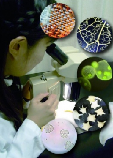 ミクロ・ラボ　～顕微鏡で自由研究～