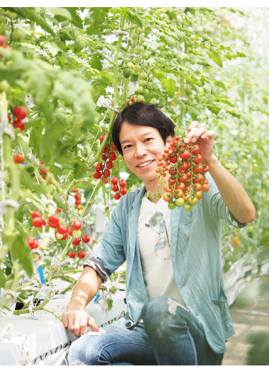 東京大学の研究、のぞいてみた！ LEDでつくる未来のトマト