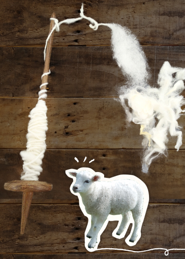 ヒツジから毛糸になるまでを見てみよう！